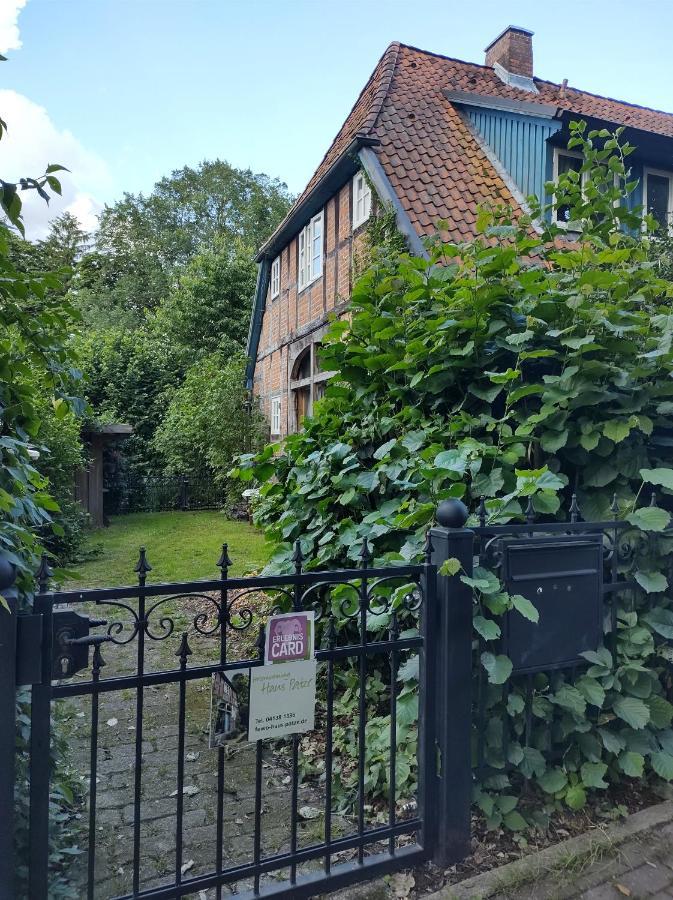 Fewo Haus Patze Betzendorf Exterior foto