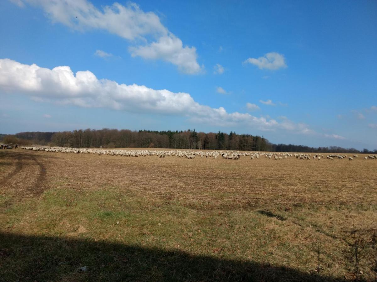 Fewo Haus Patze Betzendorf Exterior foto